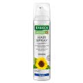 RAUSCH HAIRSPRAY flexible Aerosol