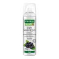 RAUSCH Dry Shampoo fresh Dosierspray